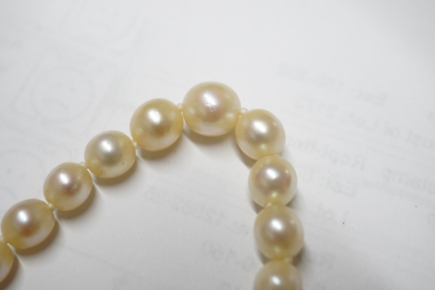 A single strand graduated cultured pearl choker necklace, with a three stone diamond set engraved white metal clasp, 36cm